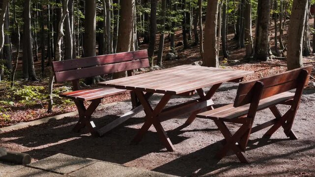 Rustic picnic table surrounded by woodland. Dappled sunlight, fallen leaves, and natural forest surroundings create a peaceful atmosphere associated with outdoor dining