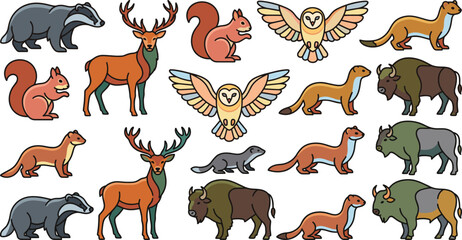 Fototapeta premium European Forest Animals Vector Set Featuring Deer Bison Badger Owl Weasel and Squirrel