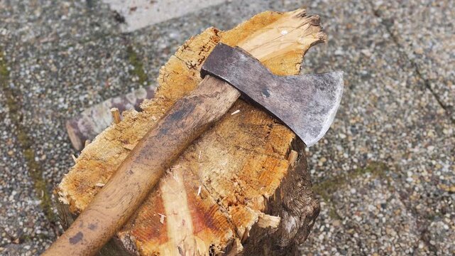 A rustic axe rests on a freshly cut tree stump in an outdoor woodland setting, surrounded by gravel, weathered stone, and wood chips
