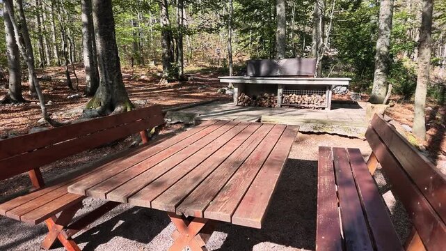 Wooden picnic tables and benches surround a built-in outdoor barbecue in a sunlit deciduous forest