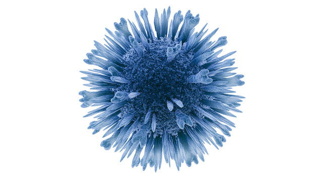 Blue spherical microscopic virus particle with spiky surface projections