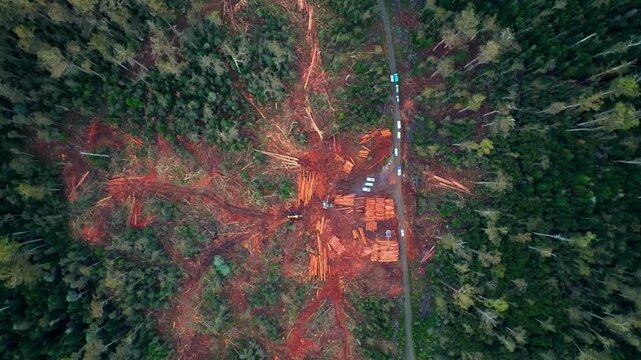 Aerial view of the deforested Amazon.
