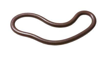 Fototapeta premium Brown smooth snake coiled in a curved shape