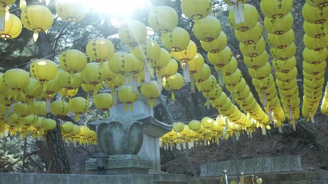 Yellow Paper Lanterns And Votive Plaques At Japanese Shrine During The Manto Mitama Matsuri Festival In Japan. Low-angle Shot