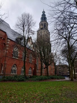 Gotischer Backsteinturm ueber kahlen Baeumen - Martinikerkhof