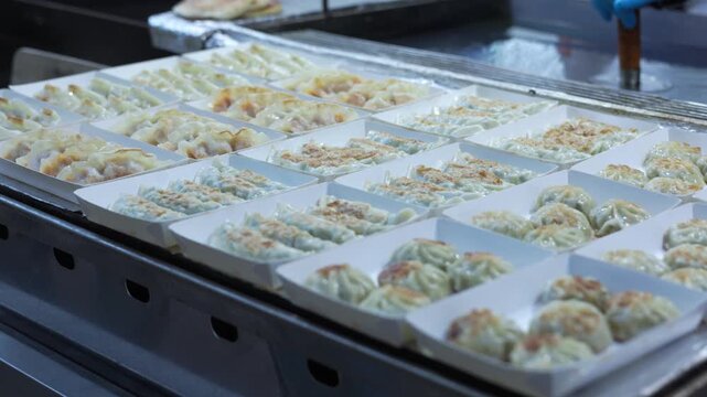 Rows Of Freshly Cooked Dumplings Are Neatly Placed Inside A Partitioned Container, Prepared Food Portions Ready For Serving. Tracking Shot