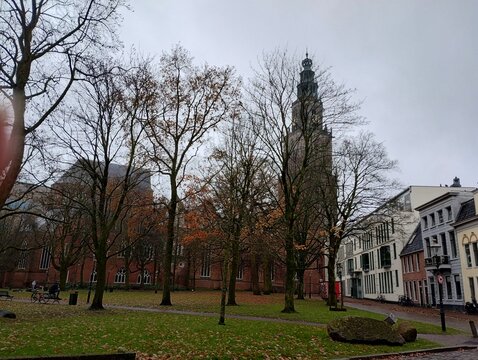Kahle Baeume und historische Fassaden am Martinikerkhof - Groningen