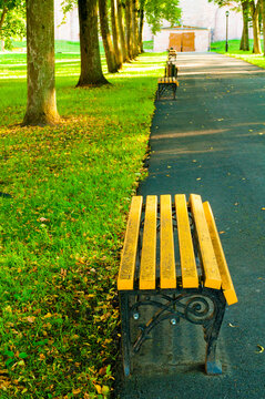 Autumn park background. A yellow wooden bench on a paved path. Green grass, fallen leaves and tall trees lining the walkway in warm sunlight