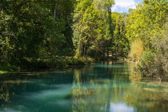 R&iacute;o de aguas turquesas en el bosque
