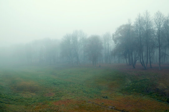 Autumn November landscape background. A wide grassy field in heavy fog. Bare trees and a faint path with a silhouette of unidentified passerby in the misty distance under a grey sky