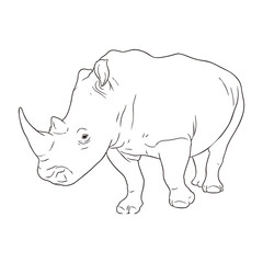 Rhinoceros line art vector illustration isolated on white background © Rahmat