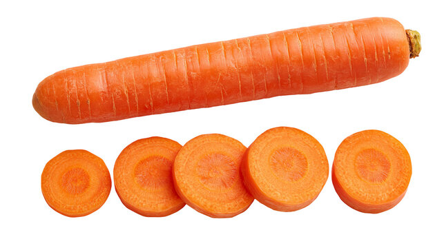 Fresh whole orange carrot and four sliced carrot rounds