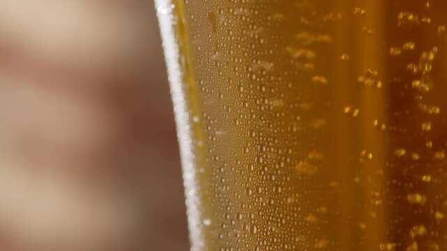 Golden carbonated drink with rising bubbles in a chilled glass against a softly blurred indoor setting. Beverage advertising, restaurant menu promotion, and bar and hospitality marketing.