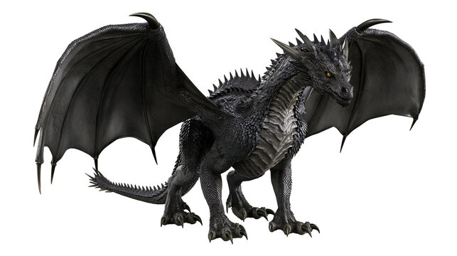 Ferocious black dragon with large wings and sharp claws standing in profile