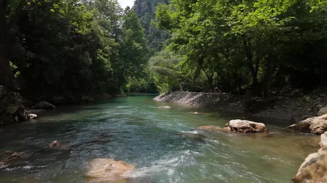 Slow motion shot of the shallow turquoise Yahchouch River flowing through a lush green forest canyon with rocky banks in Lebanon.