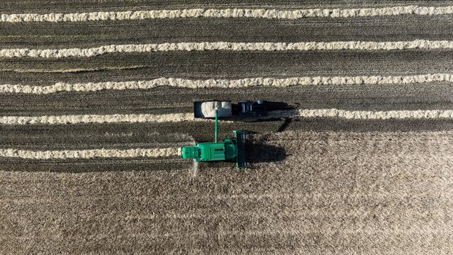 Aerial view of a green combine harvester harvesting a golden wheat field in Rangarthing eystra, Iceland.