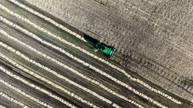 Aerial view of a green combine harvester harvesting crops in a field in Rangarthing eystra, Iceland.
