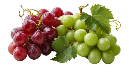 Fresh red and green grapes with water droplets and green vine leaves © Natalia