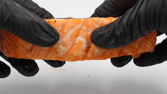 Hands in black nitrile gloves holding,Delicious grilled salmon fillet isolated on white