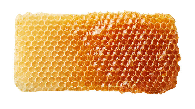 Fresh golden honeycomb slab filled with sweet organic honey