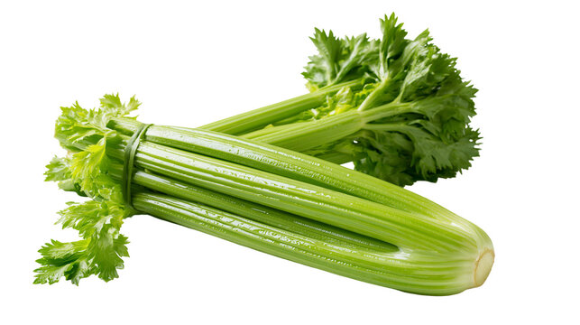 Fresh green celery bunch with crisp stalks and vibrant leafy tops