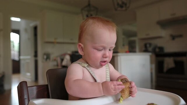 Baby with light red hair examines food in high chair, bringing a green snack to mouth in a well-lit kitchen environment