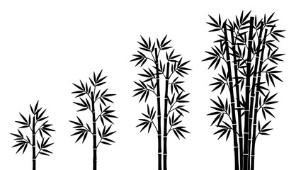 Obraz premium Four bamboo plants illustrated set with simple line art design featuring sketches, drawings, vector graphics with minimalist and simple illustrations