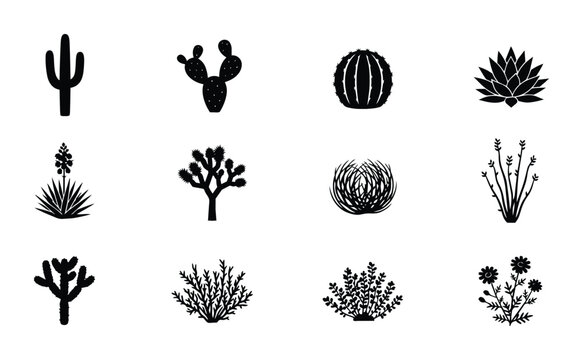Desert Plants Vector Icons Set, Cactus and Succulent Silhouettes for Botanical Graphics, Arid Flora Collection