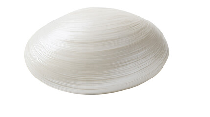 Smooth white clam shell with concentric growth lines © Alex