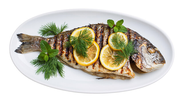 Grilled whole sea bream fish with lemon slices and fresh dill and mint herbs