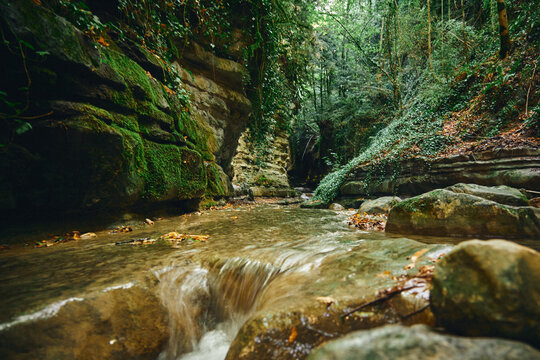 Shallow rocky stream flowing through a lush green wooded canyon