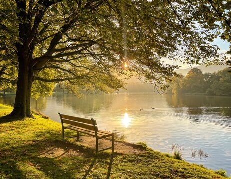 Bench by lake