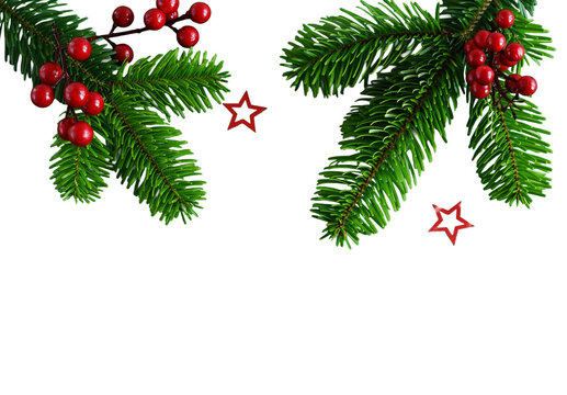Fir tree branches and red berries frame isolated png on transparent background . Cutout object. Christmas decor design element
