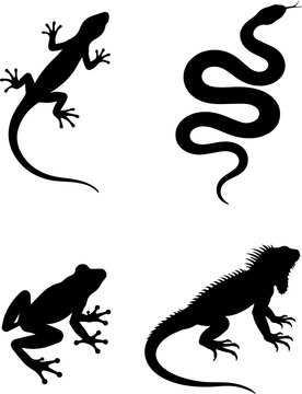 Silhouette of a lizard, set of icons: lizards, snake, frog, iguana