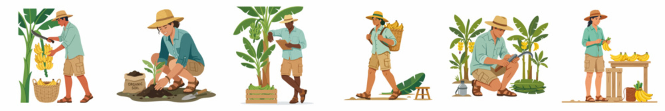 Collection of illustrations showing the process of banana farming, harvesting, and selling by workers in a tropical plantation.