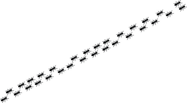 Ants Procession Line, Black Silhouette Vector Illustration. Insect Colony Concept, Teamwork and Cooperation Design.