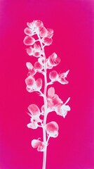 Obraz premium Vibrant pink floral silhouette on a bright background, perfect for mobile wallpaper.