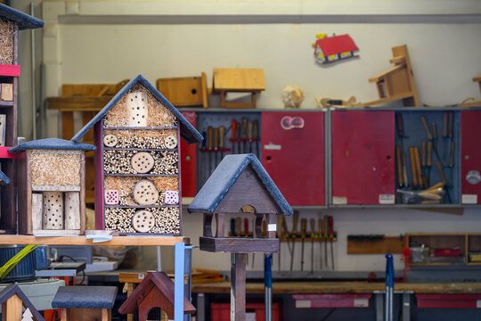 Crafty Workshop: Wooden Birdhouses presented in a natural scene in an outdoor setting, in a natural environment, under daylight, with a natural mood, suitable for wildlife, conservation.