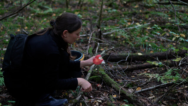 Side view of a woman holding a red wild mushroom while foraging on the ground in a dense green forest.