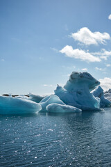 iceberg in jokulsarlon lagoon with a seagull on top © eder