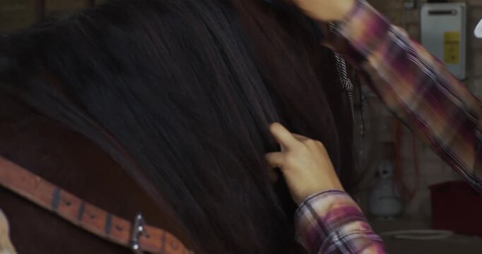 A person strokes a dark horse mane with one hand in a static close shot indoors.
