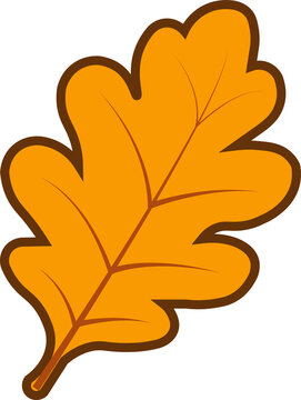 Orange Autumn Maple Leaf Vector Clipart Isolated on Transparent Background