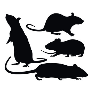 Rat Silhouette Collection
