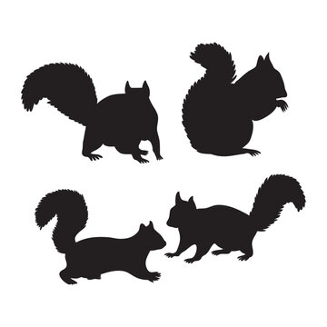 Squirrel Silhouette Collection
