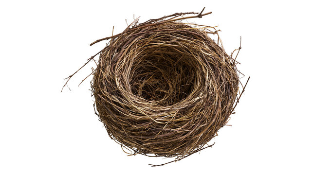 Empty bird nest made of woven brown twigs and dry grass