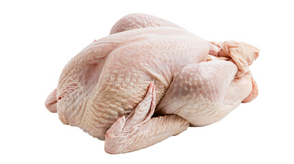 Raw whole chicken carcass with skin and wings © Anouk