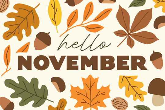hello november surrounded by leaves, acornes, chestnut, mushrooms, suitable for seasonal greetings, posters, social media graphics, stationery, cards and autumn-themed designs - vector illustration