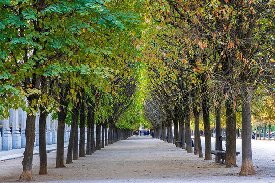 Jardin du Palais Royal, Paris