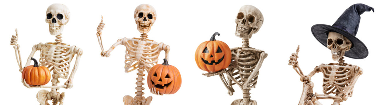 Set of Halloween skeletons with Halloween pumpkins showing a thumbs up isolated on transparent background. Concept of Halloween event party decoration.