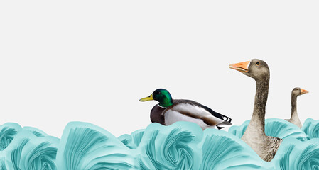 Duck and geese swimming in blue stylized paper cut waves, surreal artwork. Ocean pollution concept. Funny abstract composition, modern art, horizontal, copy space © Gintare Stackunaite